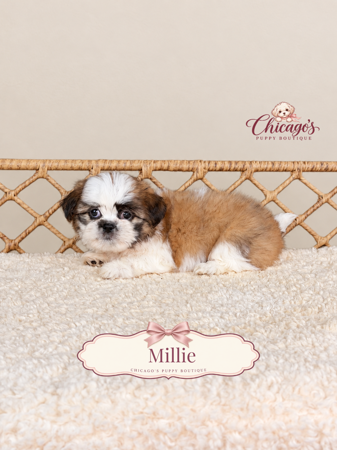 Millie