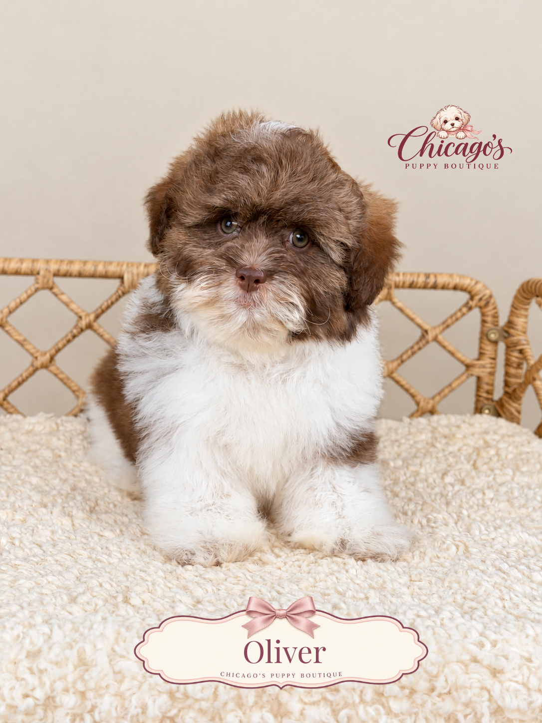 Oliver
