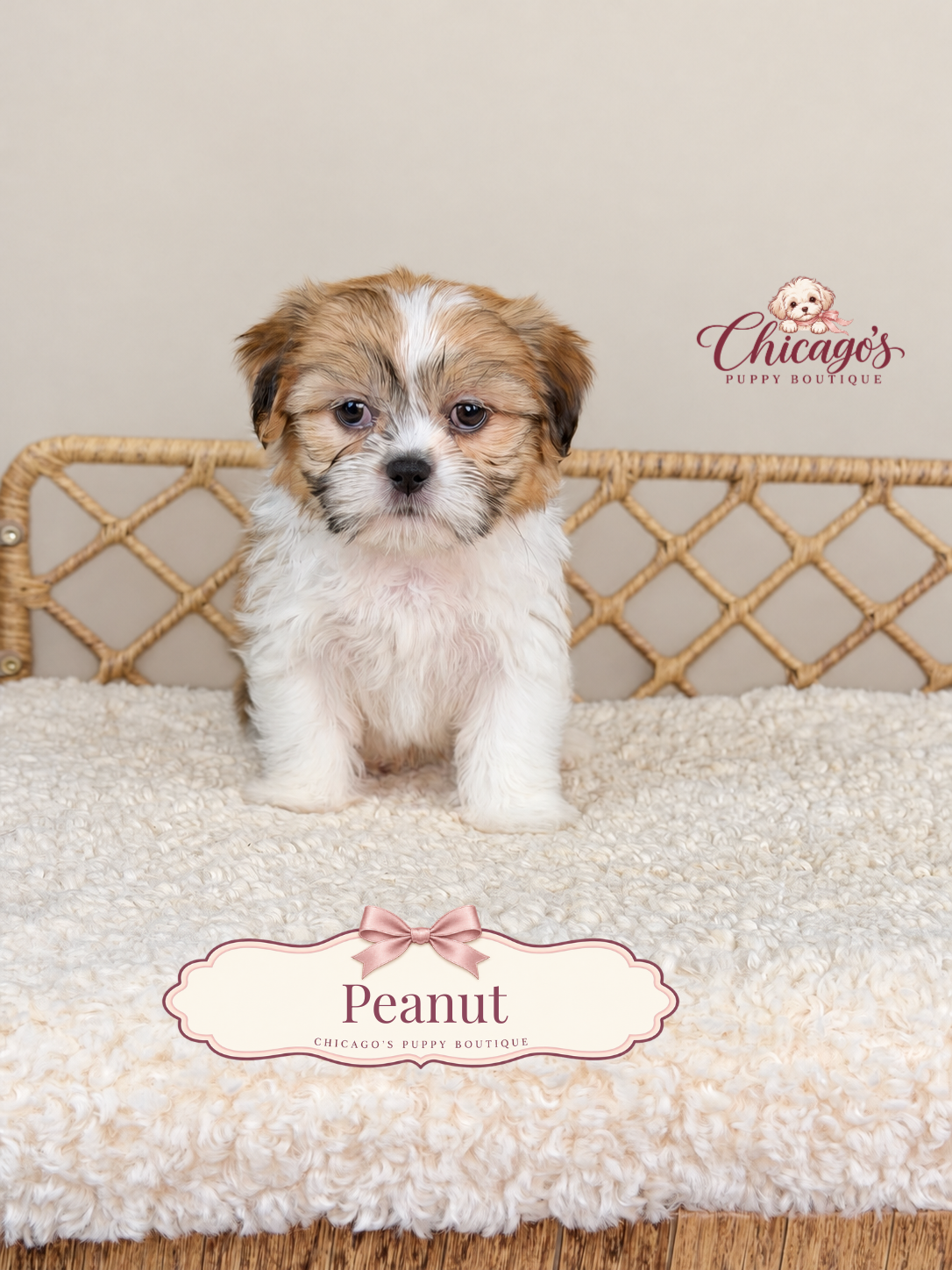 Peanut