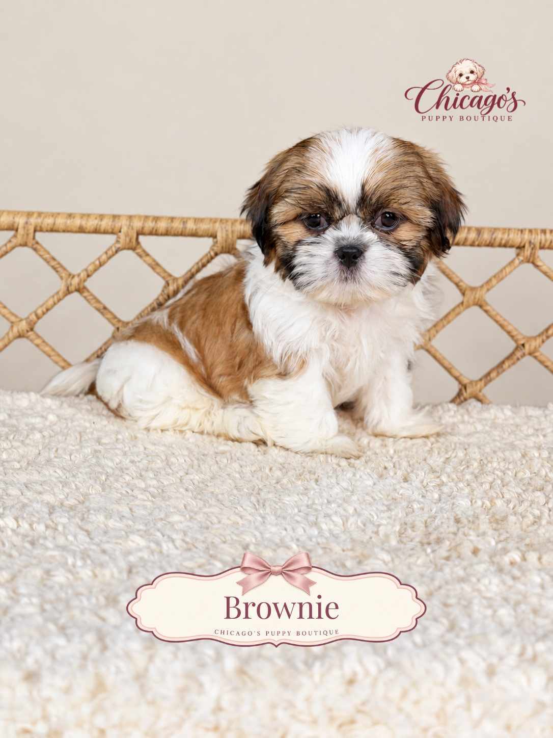 Brownie