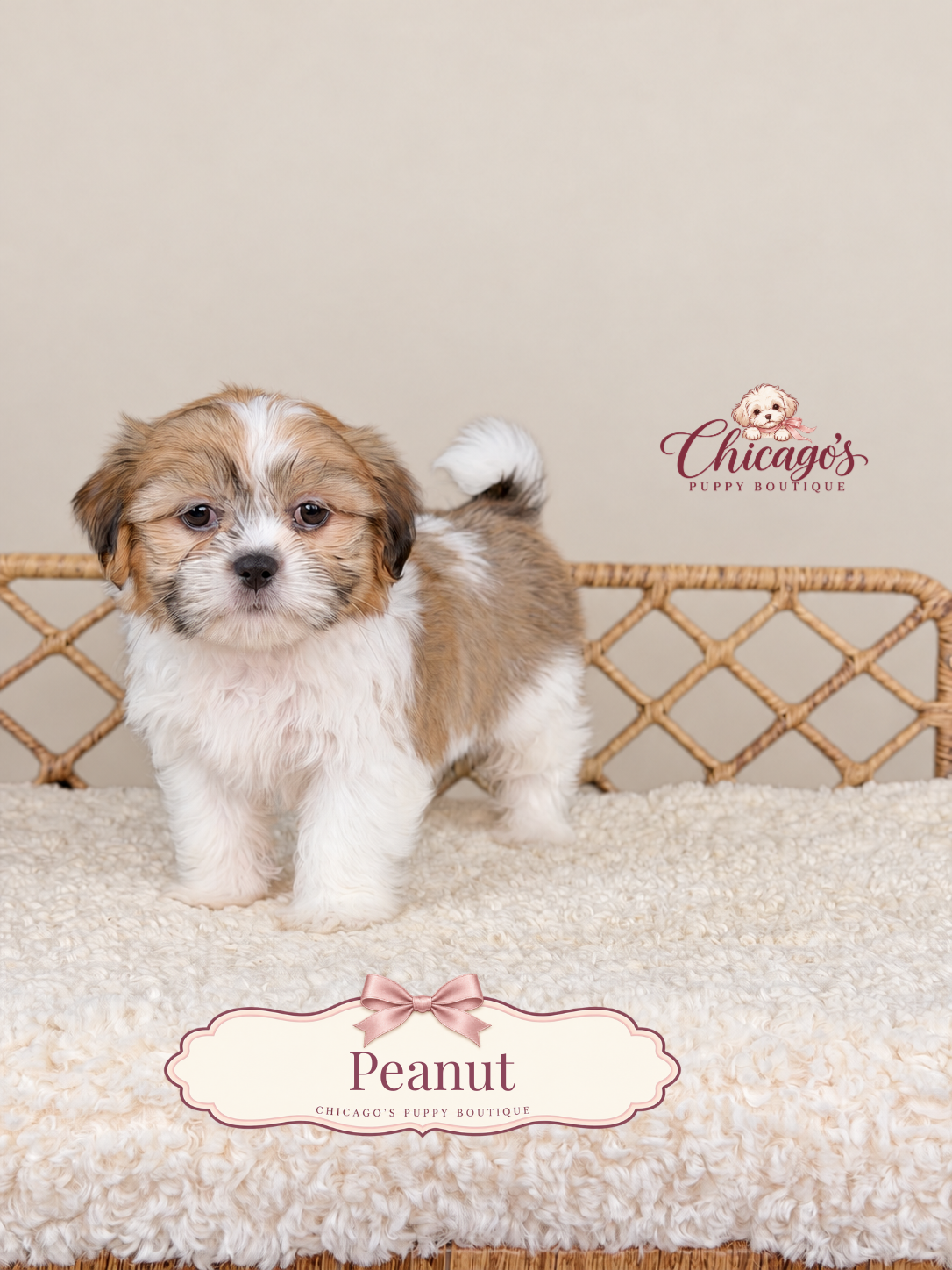 Peanut