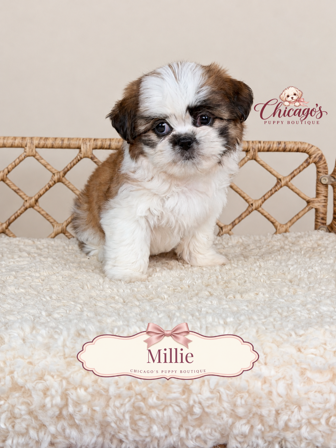 Millie