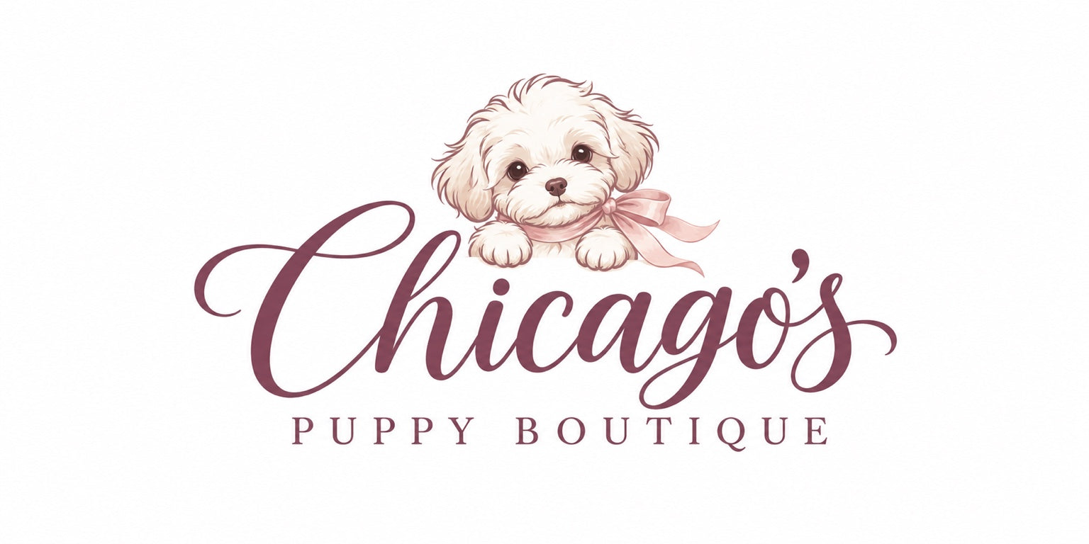 Chicago's Puppy Boutique